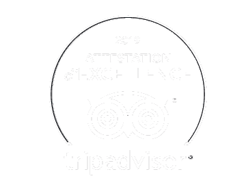 TripAdvisor 2019